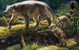 How Mammals Conquered the World after the Asteroid Apocalypse