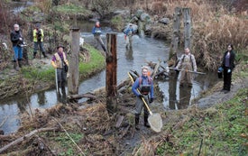 To Revive a River, Restore Its Liver